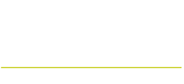 Logo AVA Solutions